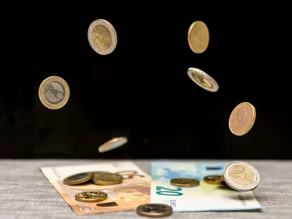 Crna Gora će ulaskom u Evropsku uniju zadržati euro kao valutu, ali neće postati članica eurozone
