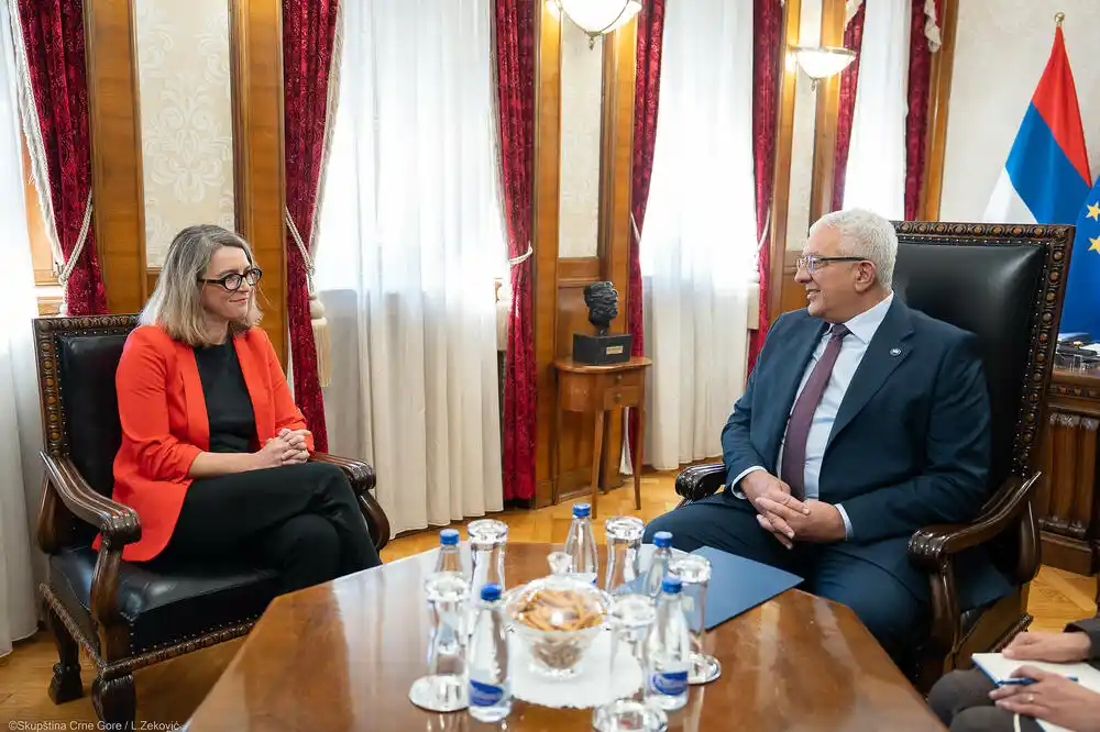 Mandić: Kada se donose odluke od dugoročnog značaja za evropsku budućnost, obaveze u parlamentu moraju imati prioritet