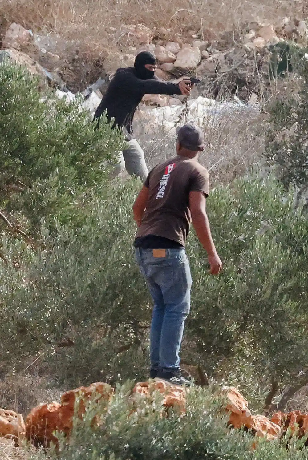 Militantni izraelski doseljenici palili masline i kamenicama gađali Palestince: Povrijeđene najmanje dvije osobe