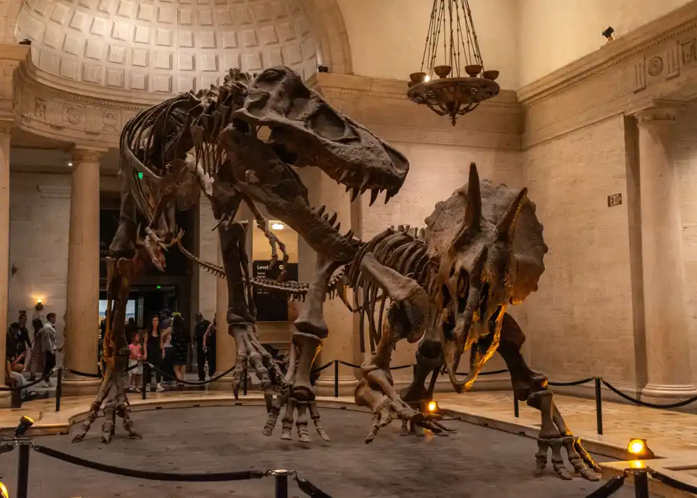 Naučnici pronašli tragove stare 120 miliona godina koji bi mogli da otkriju istinu o dinosaurusima