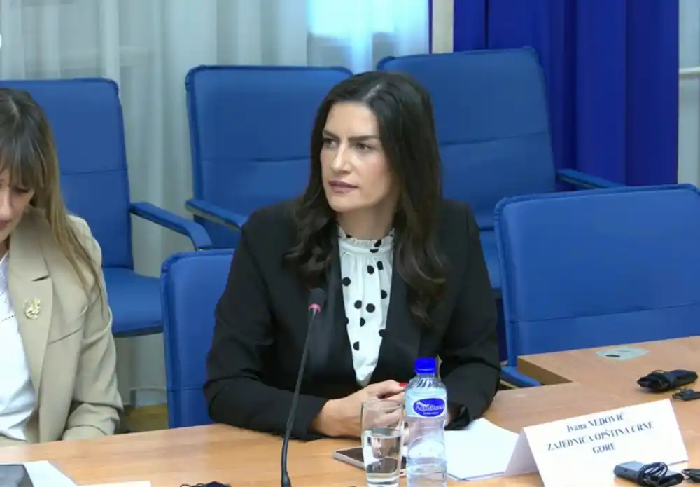 Nedović: Ulaganja u djecu su investicija u budućnost, nove obaveze opština moraju pratiti odgovarajuća sredstva