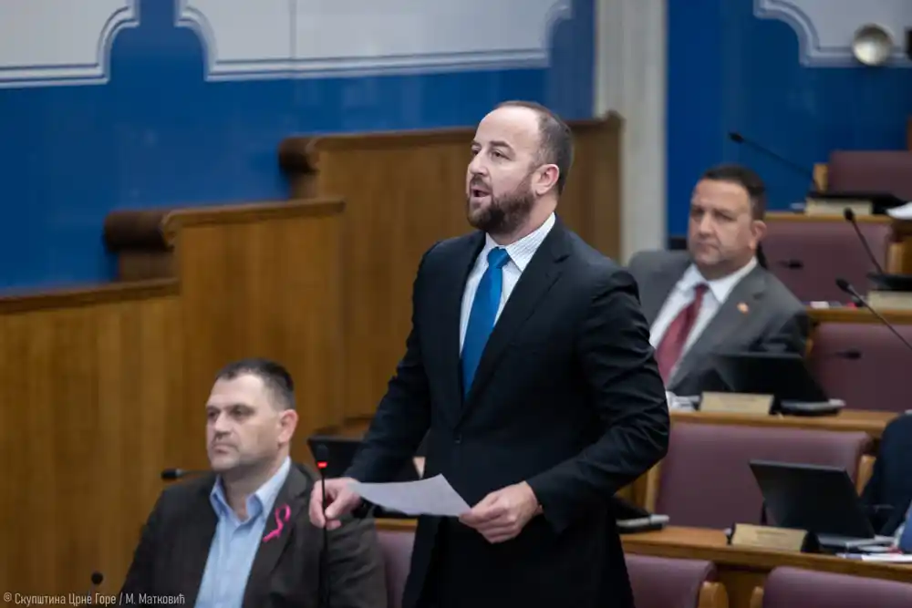 Nikolić: Obaviješteni smo da će se danas raspravljati o izmjeni Ustava, održaćemo konsultacije