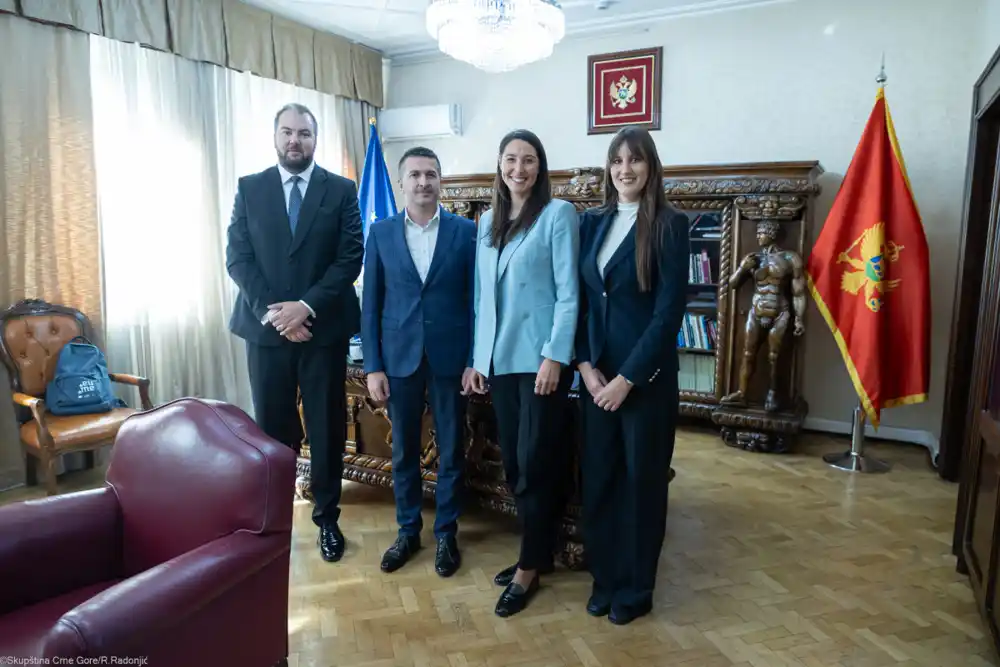 Potpredsjednik Skupštine Boris Pejović sastao se sa europoslanicom Kirher