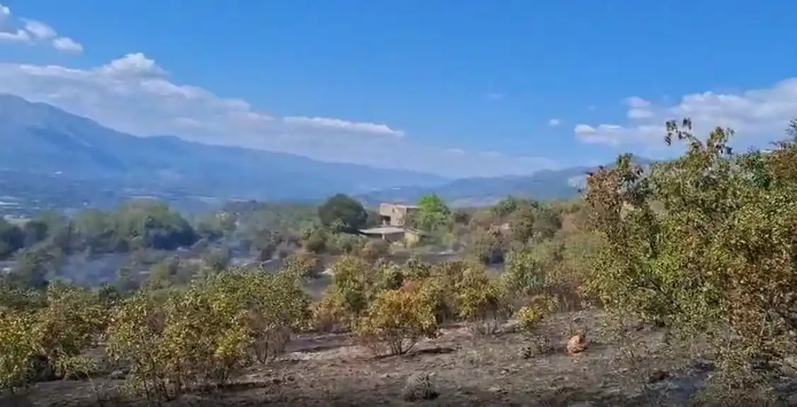 Požar u Piperima: Vatrogasci odbranili kuće, helikopter gasi vatru