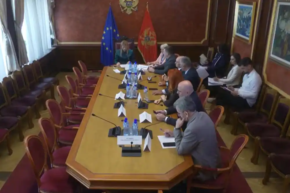 Radović imenovan za člana Savjeta AMU