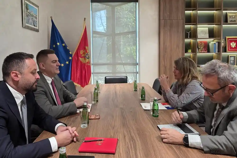 Šahmanović: Dobre odnose s Francuskom želimo da pretočimo u nove energetske projekte i investicije