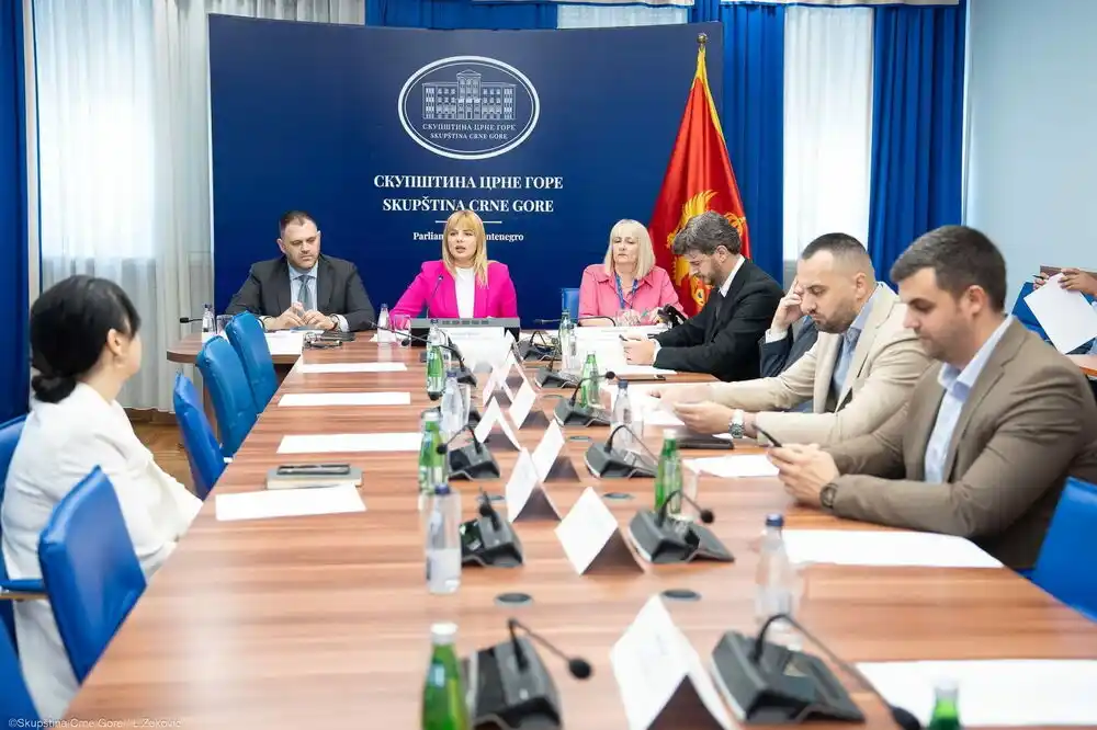 Vuković pita o kojoj listi je Administrativni odbor glasao i na osnovu čega je promijenjen broj predlagača