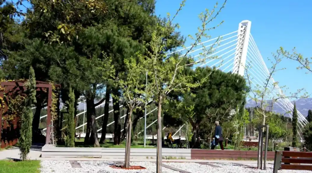 Zelenilo za devet mjeseci potrošilo oko 150.000 evra za sanaciju štete od vandalizma